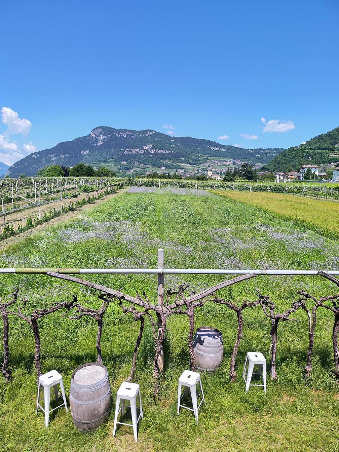 8 Grappoli Agritur Villa Trento Exterior photo